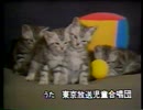 時には「声楽」曲を…