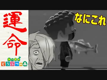 【実況】まかせろ！おとこぎの森 part6【あつまれ どうぶつの森】