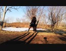 GRAVE DIGGER[shadow maker] 弾いてみたおかま