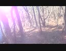 低山を歩こう 霧訪山 20191210