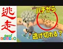 【実況】まかせろ！おとこぎの森 part7【あつまれ どうぶつの森】