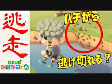 【実況】まかせろ！おとこぎの森 part7【あつまれ どうぶつの森】