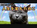人生を変えた猫〜天国のぐれおじさん物語〜