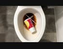 マクドナルドの飲み物をトイレに流してみた