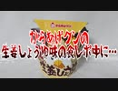 【LAWSON】からあげクンの生姜しょうゆ味の食レポ中に…