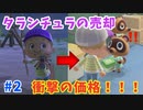 【毒注意】タランチュラを捕まえて売ったら、すごい価格に！？【どうぶつの森】＃２ 〜[Animal Crossing : New Horizons] I catch a tarantula〜