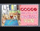 群雄割局！ 織田シナモン信長ワンだふるラジ尾 第五回 2020年03月27日