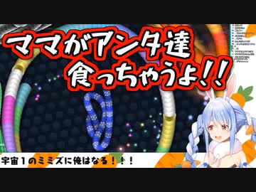 全力で介護されたあげく壮絶な死を遂げる兎田ぺこら【Slither.io】