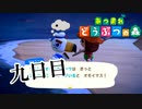 【実況】ハロージョニーこんばんわ【あつまれ どうぶつの森】九日目