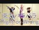 【東方パラパラ】Right or Wrong