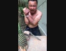 胸  口  碎  菠  萝