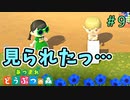 【あつまれ どうぶつの森】フレンドに野外トイレ中を見られた…！＃9