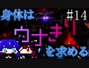 【DAEMON X MACHINA】身体はウナきりを求める#14【東北きりたん＆音街ウナ】