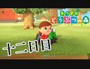 【実況】めっちゃゴミ釣るんだが【あつまれ どうぶつの森】十二日目