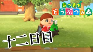 【実況】めっちゃゴミ釣るんだが【あつまれ どうぶつの森】十二日目