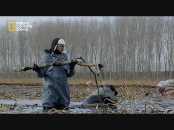 やったぜ。（所要時間:30分足らず）.sugita