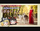 【ゆっくり犬種解説】その9「ボルゾイ」
