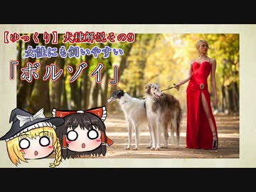 【ゆっくり犬種解説】その9「ボルゾイ」