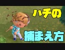 【あつ森】ハチの捕まえ方を徹底的に教えます【ゲーム実況】
