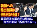 【海外の反応】 韓国への 輸出制限は 世界経済の脅威になる…？ 韓国経済産業大臣の発言に 海外失笑 「馬鹿げてる…」