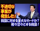 【海外の反応】 日本の 韓国に対する 輸出厳格化で 「不適切な事案」とは何か？ 韓国は 戦々恐々！