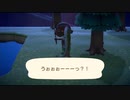 どうぶつの森やった時の16