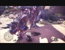 【MHW:I】遅ればせながら、アイスボーンに挑んでみた【初見】第11狩猟