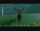 【実況】猶（なお）の伝説　ブレスオブザスーパープレイヤー【ゼルダの伝説】part58