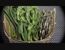野草を喰らう