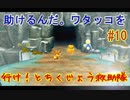 【 初めての救助隊】ポケモン不思議のダンジョン救助隊DX　part10