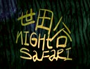 【歌ってみた】世田谷ナイトサファリ 【Yoki_Fan／洋琪】