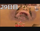 【実況】日刊ピクミン　29日目　～追随～