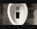 iPhone 11をトイレに流してみた