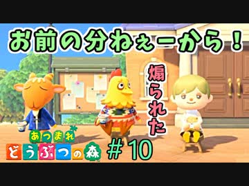 【あつまれ どうぶつの森】ティータイムは基本ハブられます。＃10