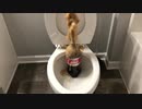 メントスコーラをトイレに流してみた３
