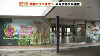 動物のプロフェショナルを育成　動物園予備校が４月開校　静岡・東伊豆町