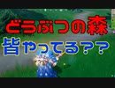 どうぶつの森って皆やってる?? 【フォートナイト】-Leon視点