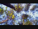 Wood Album - mozell