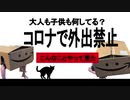 コロナで外出禁止の欧州、お家でこんなことやってました（笑）ちょっと楽しくて、親御さんは大変で・・・
