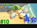 【実況】捻くれ者の無人島生活【あつまれ　どうぶつの森】１０日目