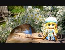 ROプレイヤーがソロキャンプに行ってきた⑭　弓の又キャンプ場
