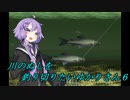 【川のぬし釣り】川のぬしを釣り切りたいゆかりさん６【VOICEROID実況プレイ】
