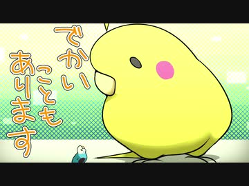 【手描きアニメ】とりどりもふ鳥 その２