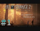 【Life is Strange 2】一つに選択で人生は決まらない＃１