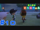 【実況】新島民とパニ―の島 #10【あつまれどうぶつの森】