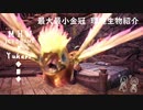 【MHWI】環境生物最大最小金冠紹介59ドレスサンゴドリ