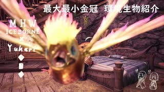 【MHWI】環境生物最大最小金冠紹介59ドレスサンゴドリ