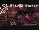 【MHWI】環境生物最大最小金冠紹介60タキシードサンゴドリ