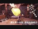 【MHWI】環境生物最大最小金冠紹介62大回復ミツムシ