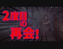 【Bloodborne】｜高難易度ブラッドボーン｜おばちゃん再会｜【初見実況】part13